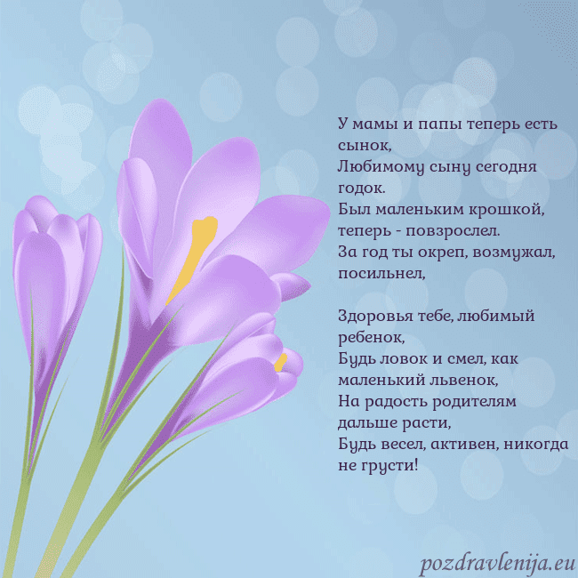 Открытка с крокусом