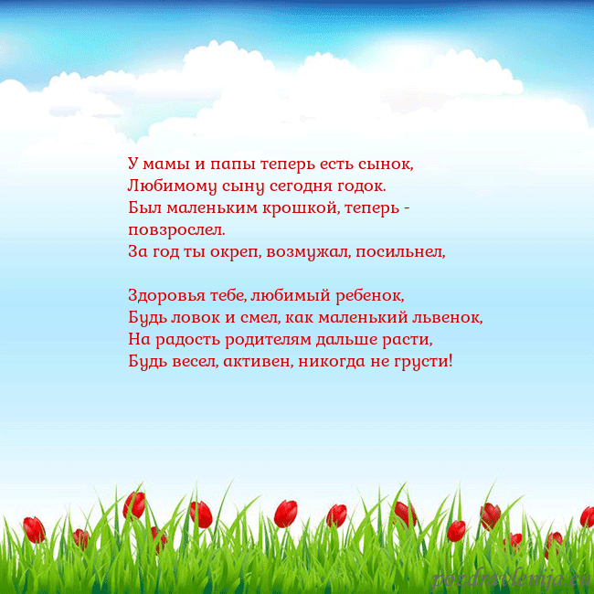 Открытка с тюльпанами