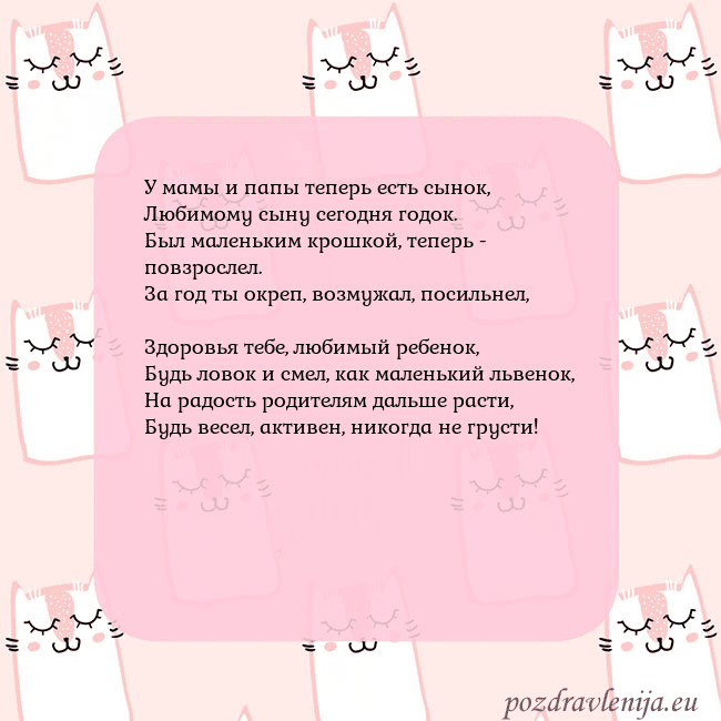 Розовая открытка с забавными кошками