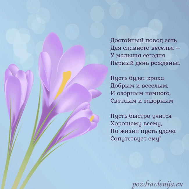 Открытка с крокусом