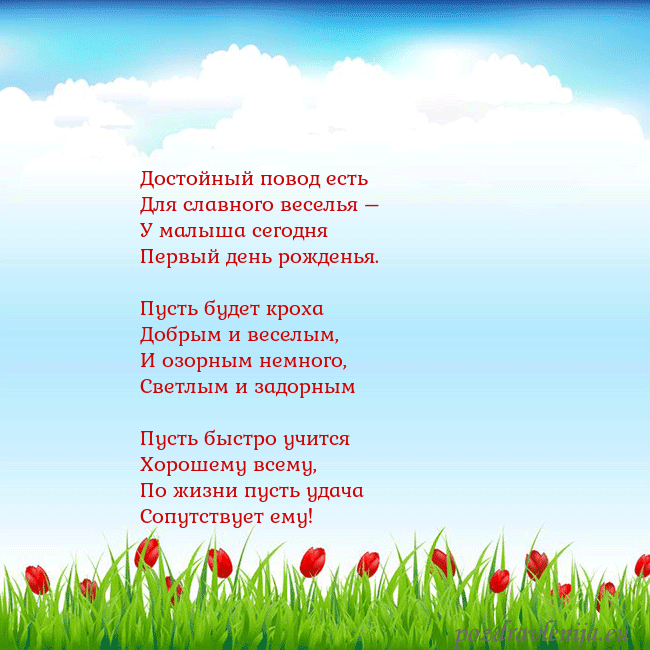 Открытка с тюльпанами