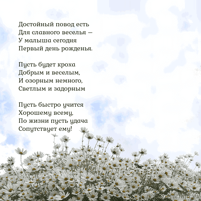 Открытка с ромашками