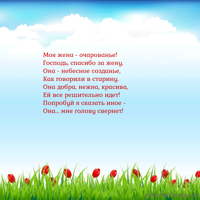 Открытка с тюльпанами