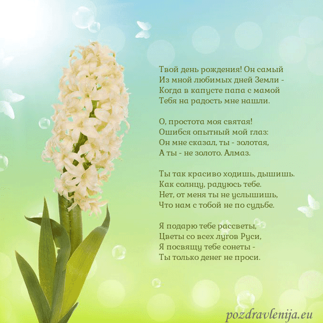 Открытка с гиацинтом