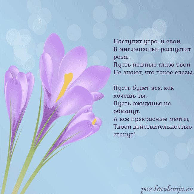 Открытка с крокусом