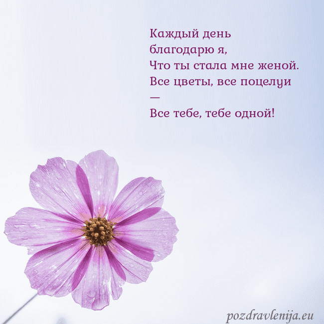 Электронная открытка с фиолетовым цветком