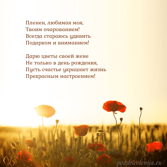 Электронная открытка с полем маков