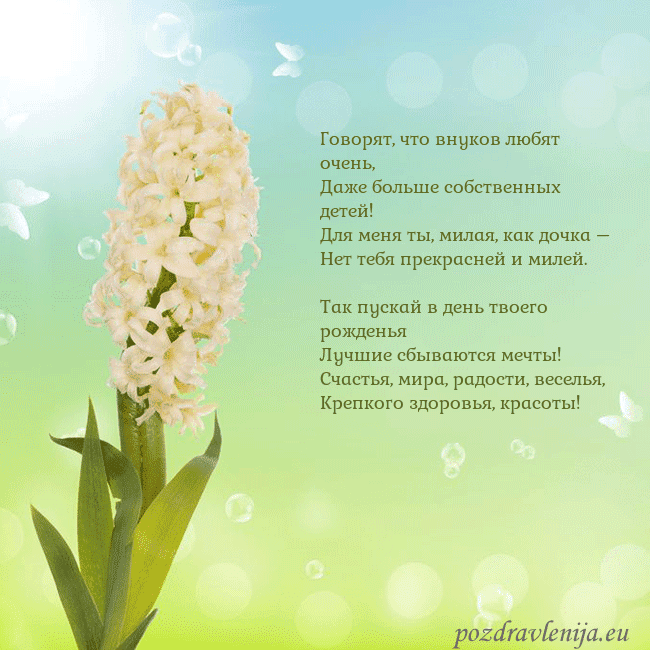 Открытка с гиацинтом