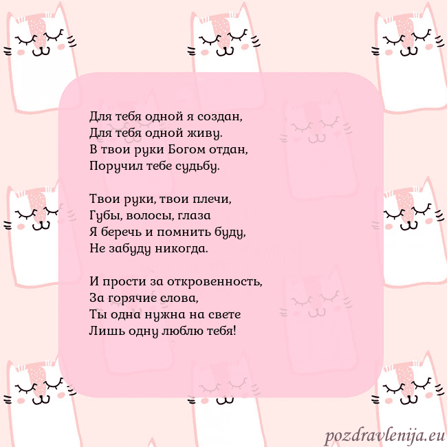 Розовая открытка с забавными кошками