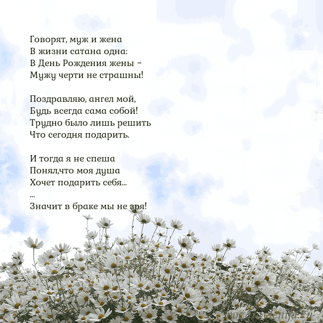 Открытка с ромашками
