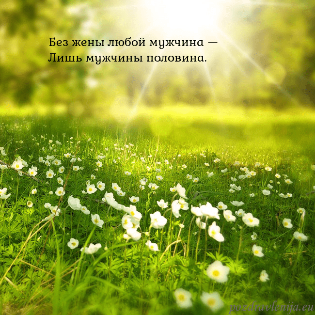 Электронная открытка с утопающим в солнечном свете лугом