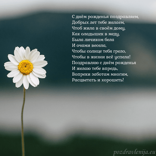 Электронная открытка с ромашкой