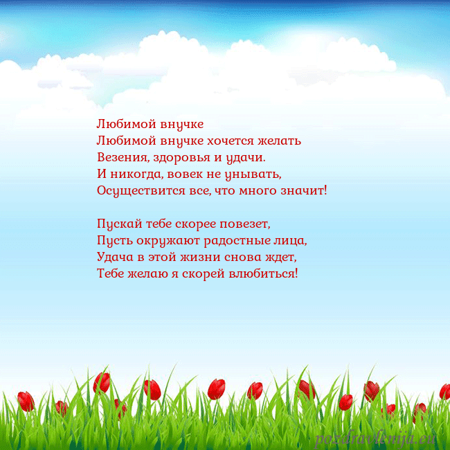 Открытка с тюльпанами