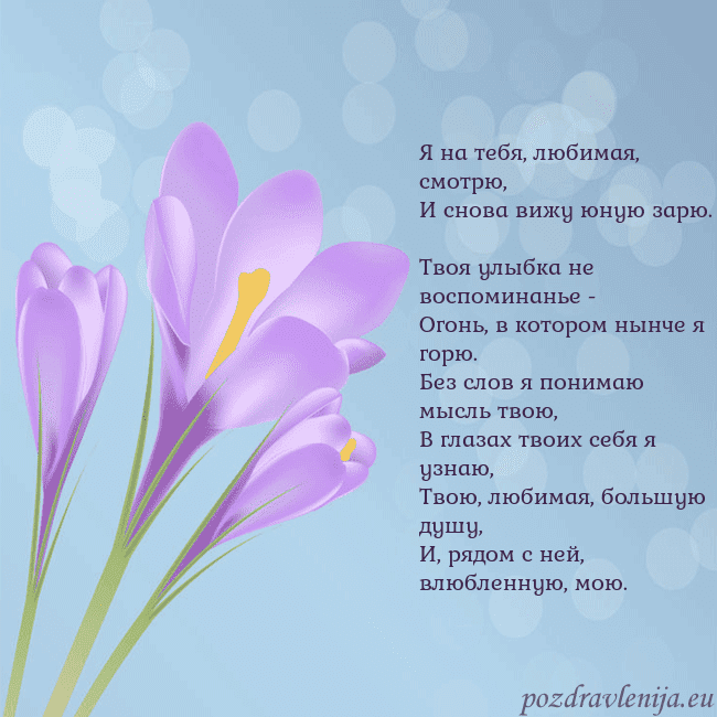 Открытка с крокусом