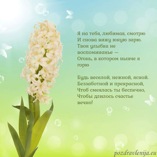 Открытка с гиацинтом