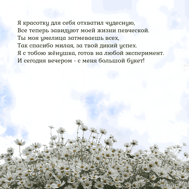 Открытка с ромашками