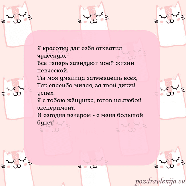 Розовая открытка с забавными кошками