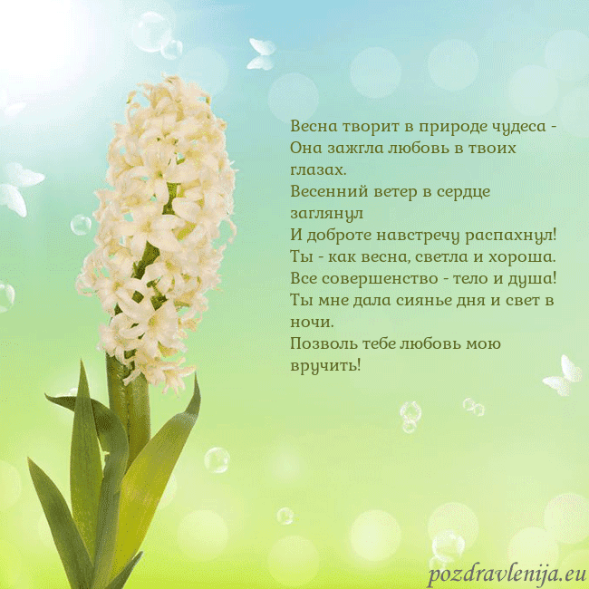 Открытка с гиацинтом