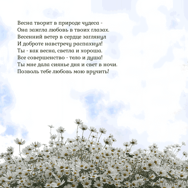 Открытка с ромашками