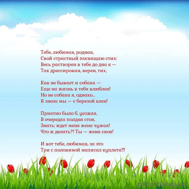 Открытка с тюльпанами