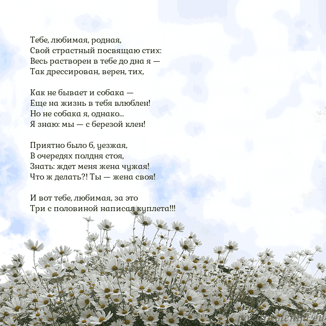 Открытка с ромашками