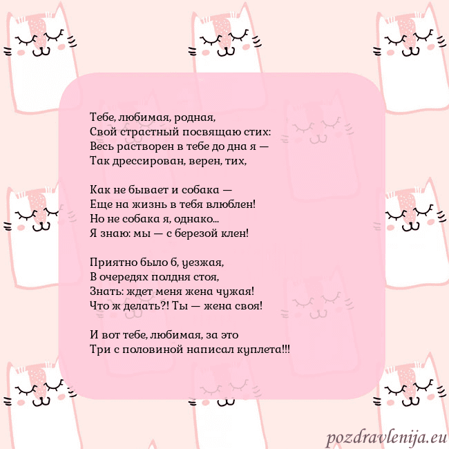 Розовая открытка с забавными кошками