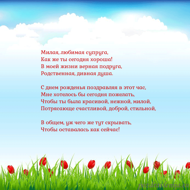 Открытка с тюльпанами