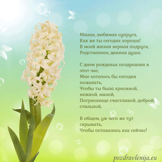 Открытка с гиацинтом