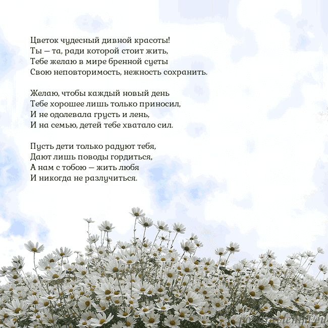 Открытка с ромашками