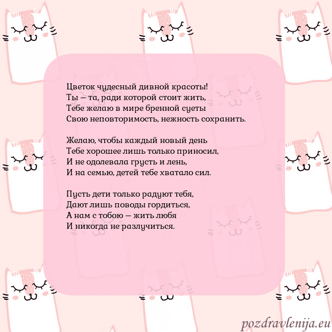 Розовая открытка с забавными кошками