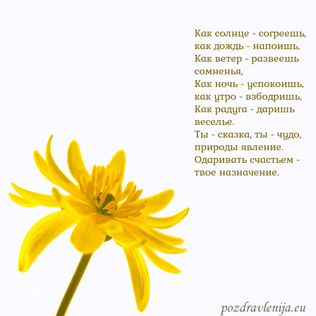 Открытка с желтым цветком