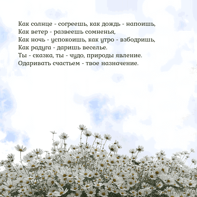 Открытка с ромашками