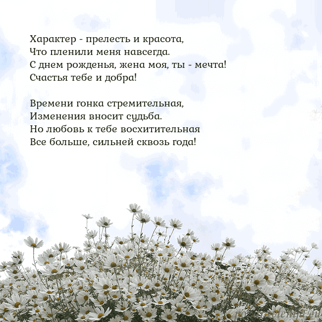 Открытка с ромашками