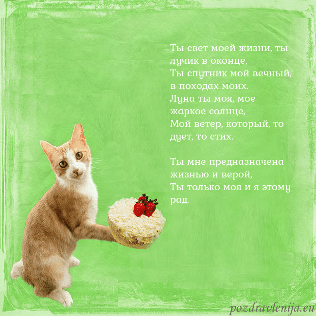 Забавная открытка на день рождения с кошкой и тортом