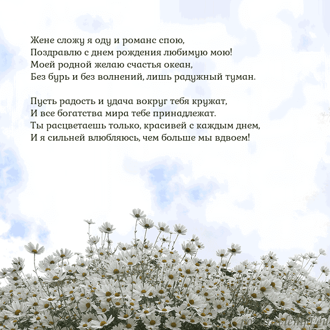 Открытка с ромашками