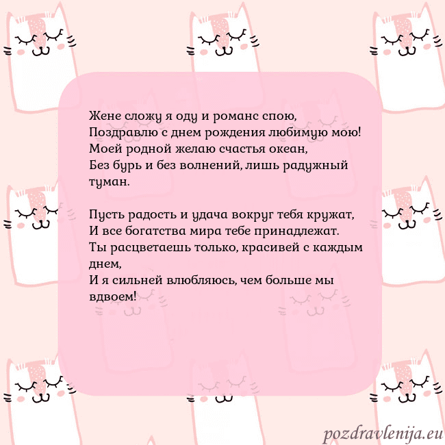 Розовая открытка с забавными кошками