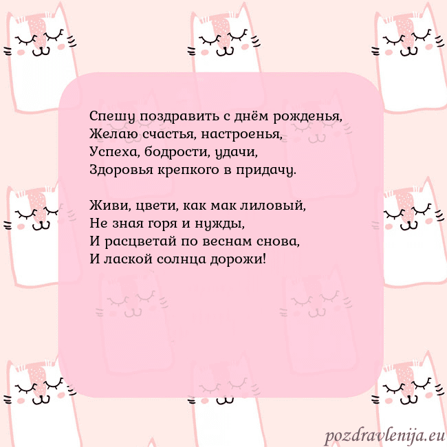 Розовая открытка с забавными кошками