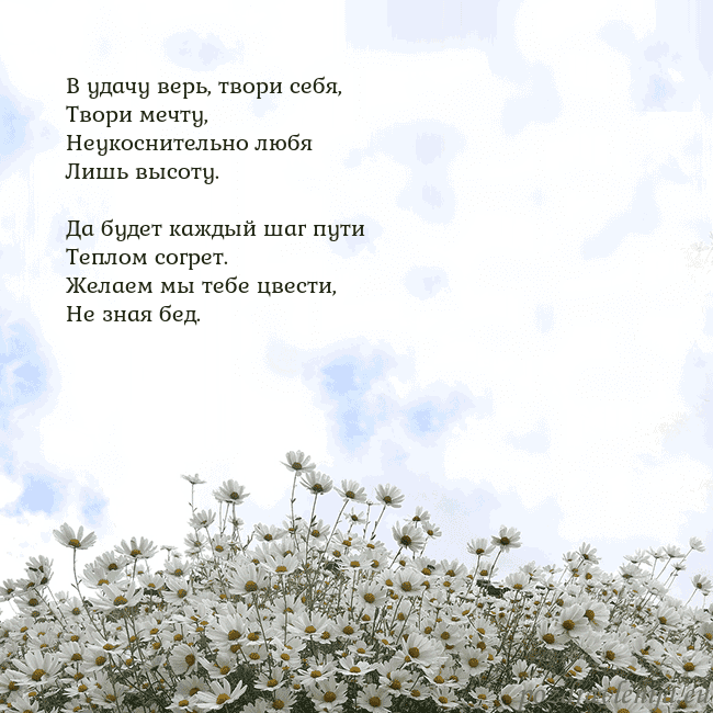 Открытка с ромашками