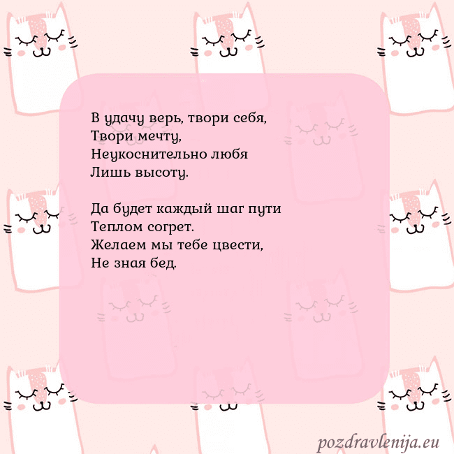 Розовая открытка с забавными кошками