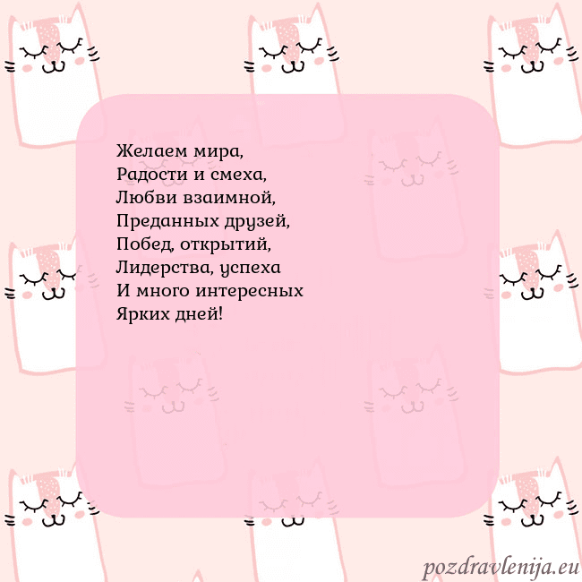 Розовая открытка с забавными кошками