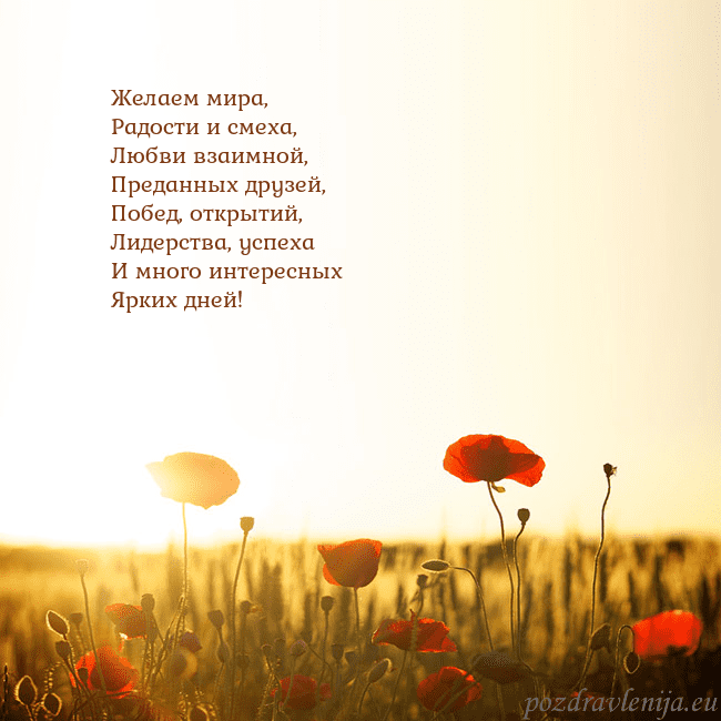 Электронная открытка с полем маков