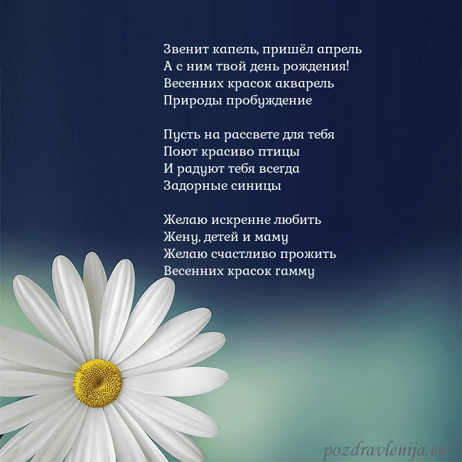 Открытка с большой ромашкой