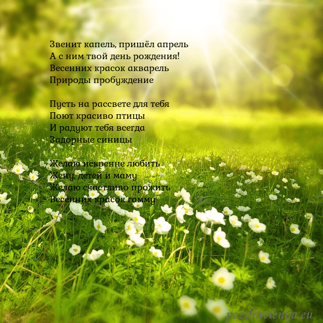 Электронная открытка с утопающим в солнечном свете лугом