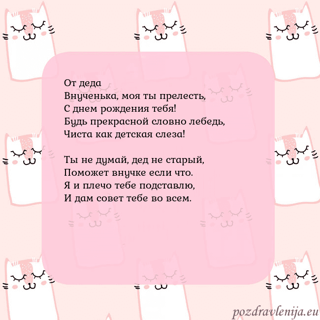 Розовая открытка с забавными кошками