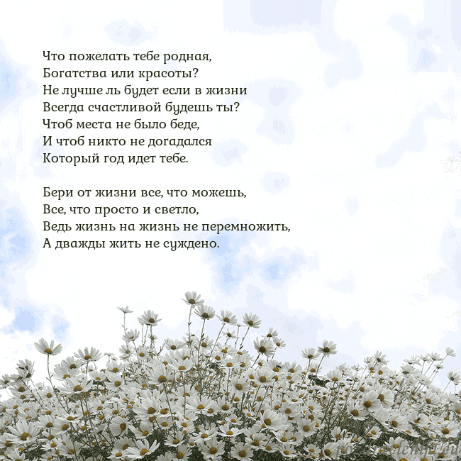 Открытка с ромашками