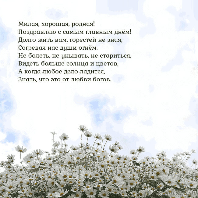 Открытка с ромашками