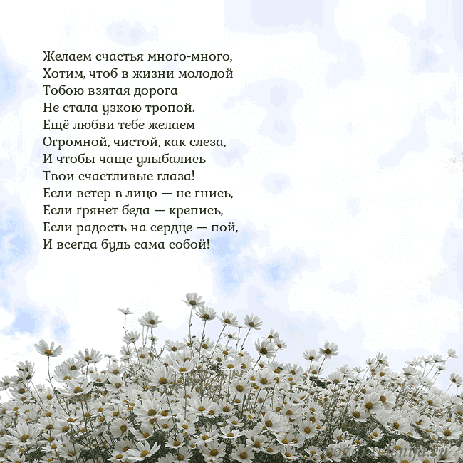 Открытка с ромашками
