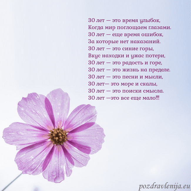 Электронная открытка с фиолетовым цветком