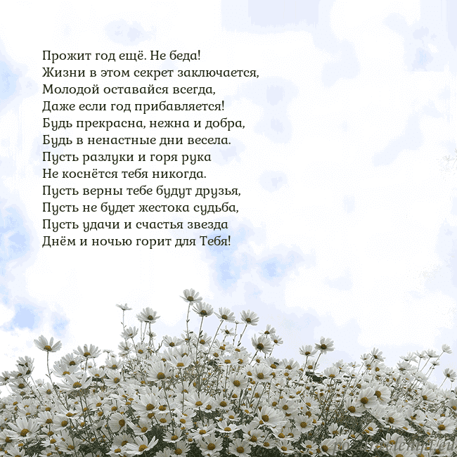 Открытка с ромашками