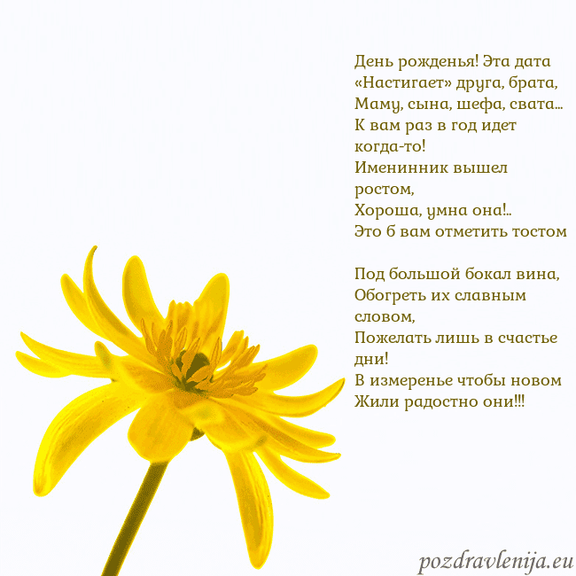 Открытка с желтым цветком